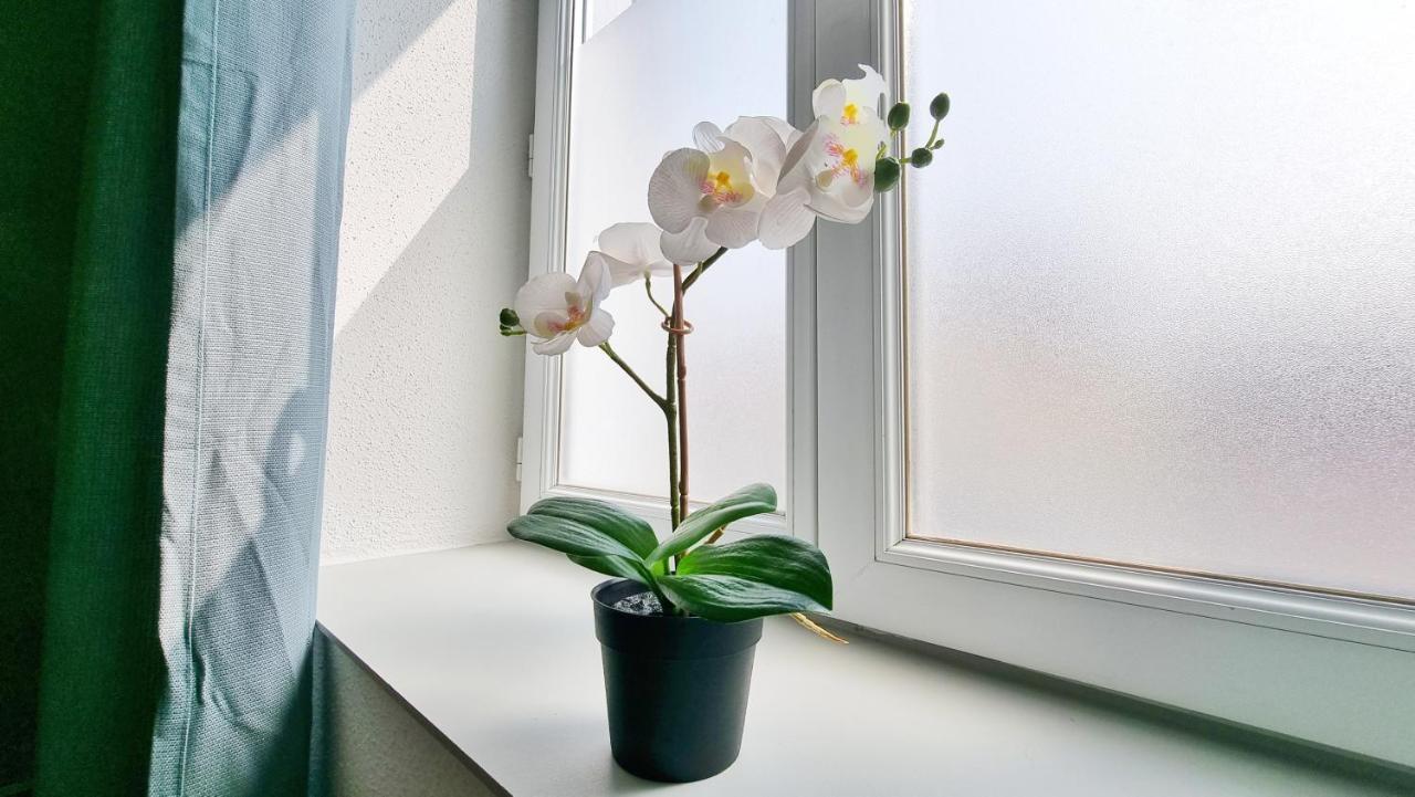 Chez Jm - Calme - Chic - Fibre - Relax Bnb Mulhouse Bagian luar foto