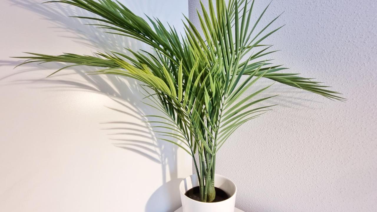 Chez Jm - Calme - Chic - Fibre - Relax Bnb Mulhouse Bagian luar foto